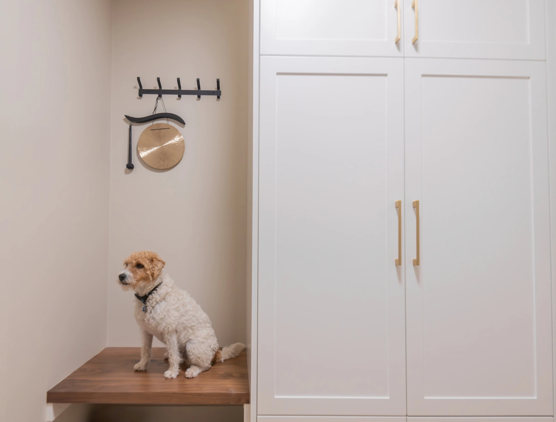 Ambleside Project 22